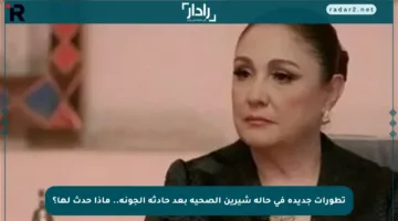 تطورات جديدة في حالة شيرين الصحية بعد حادثة الجونة.. ماذا حدث لها؟